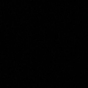 Meet your Posher, Brody